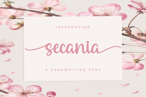 Secania: A Handwritten Font That Feels Like Home