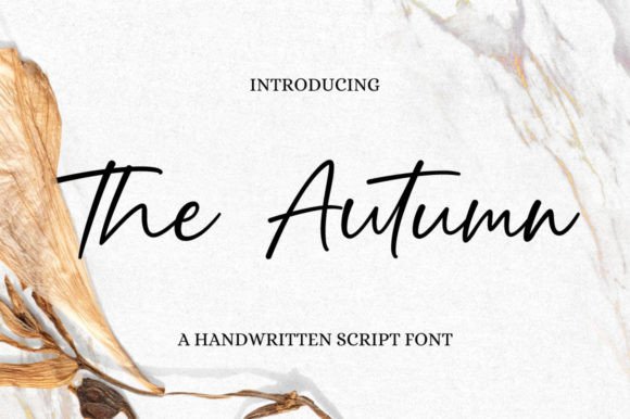 The Autumn Script Font for Polished, Memorable Branding